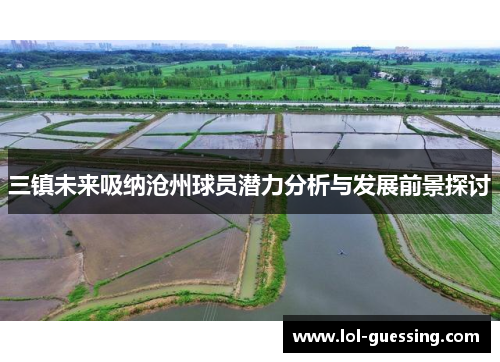 三镇未来吸纳沧州球员潜力分析与发展前景探讨