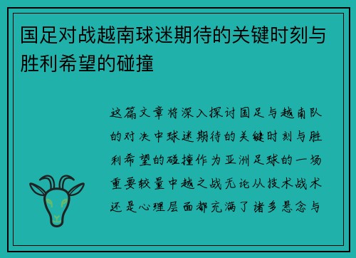国足对战越南球迷期待的关键时刻与胜利希望的碰撞